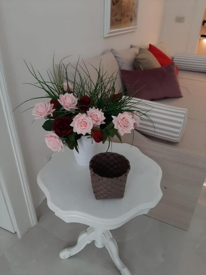 La Vie En Rose - Casa Vacanze Diamante Kültér fotó