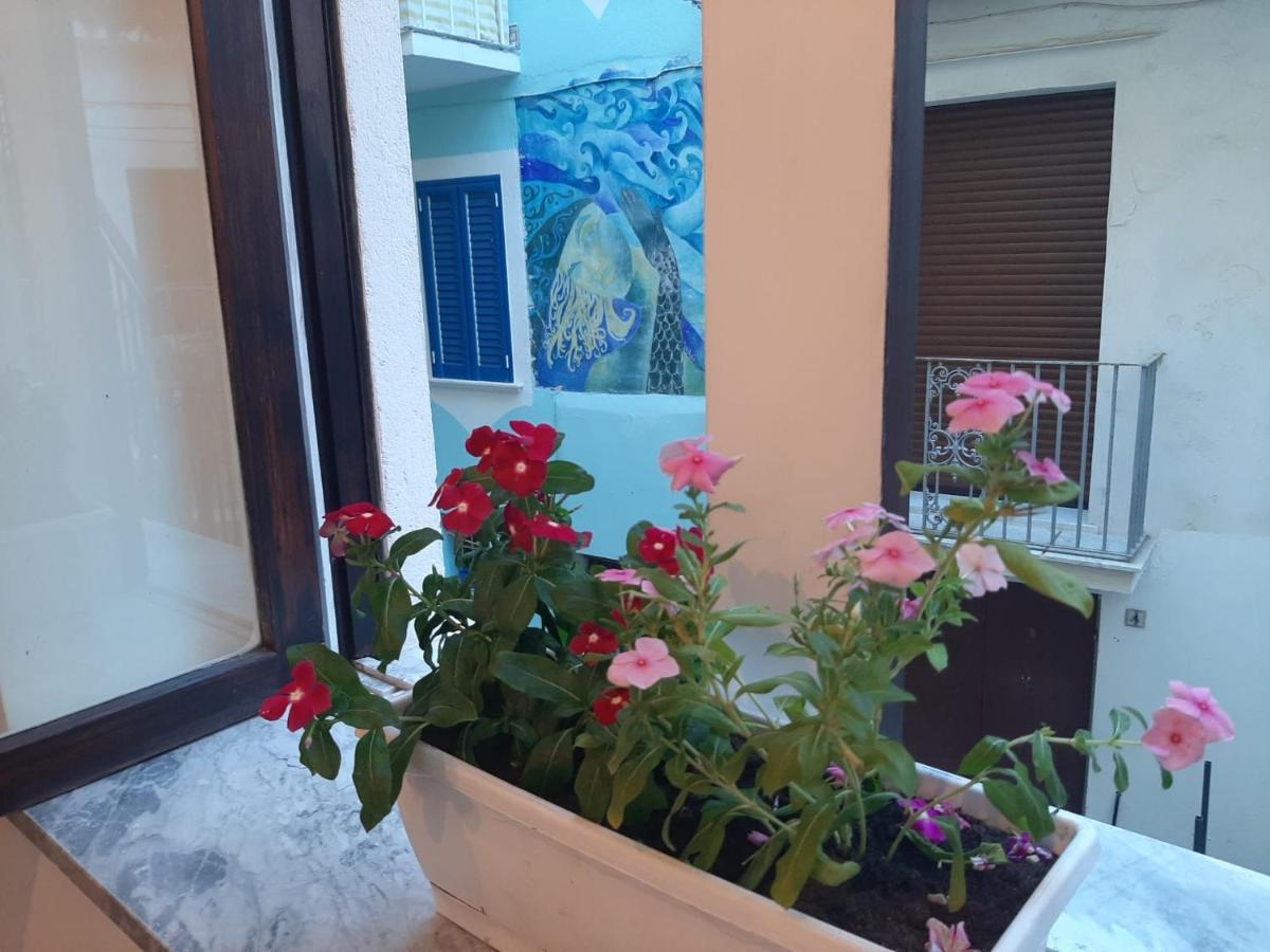 La Vie En Rose - Casa Vacanze Diamante Kültér fotó
